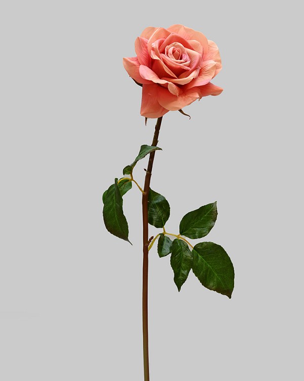 ST-WRO1RD1-PE1-20N-3