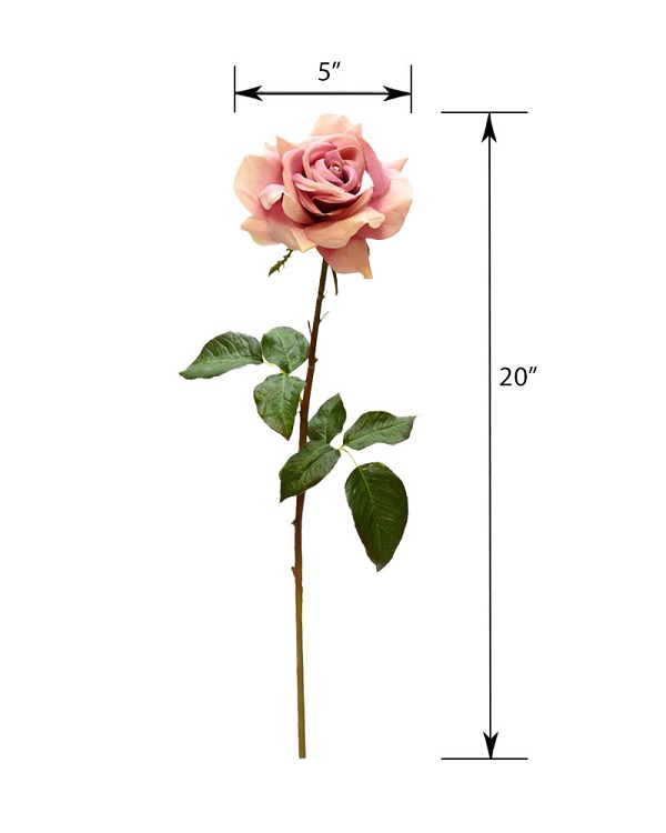 ST-WRO1RD1-LM-20N-55