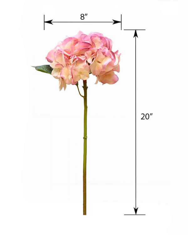 ST-WHY-CRMV-20N-55jpg