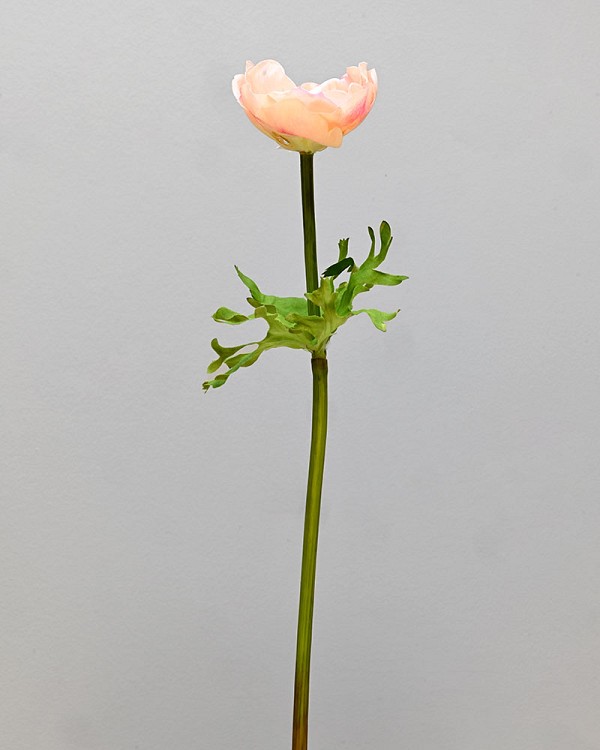 ST-WAE1-PY-175N-22jpg