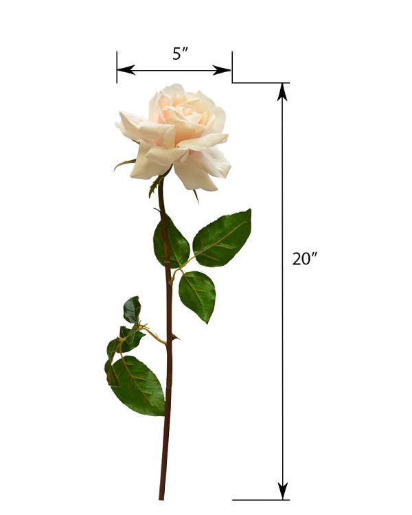 ST-WRO1RD1-CR1-20N-4
