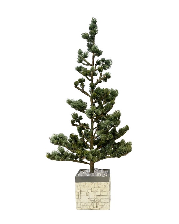 Tree-In-Brick-Container-2-3