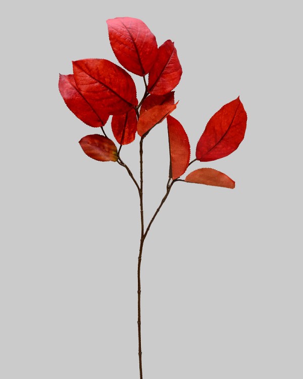 ST-85MBL-BU-27R-1jpg