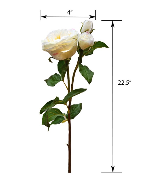 ST-W4ENRO-CH-225R-55