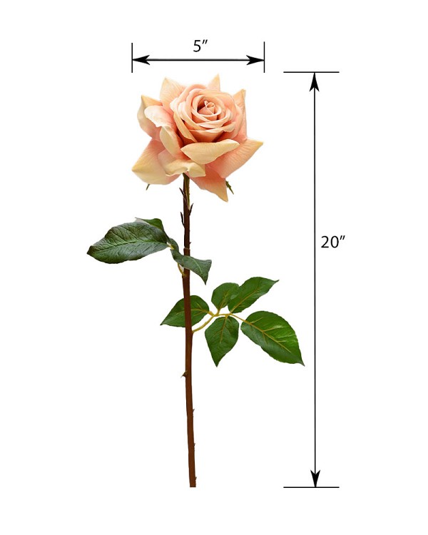 ST-WRO1RD1-PP-20N-55