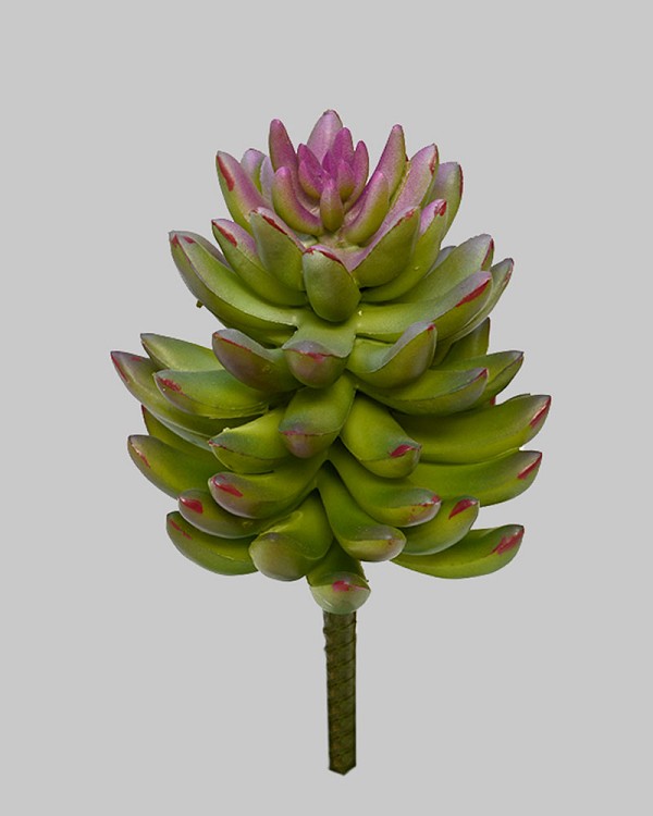 ST-WSU1-GRP-75R-2jpg