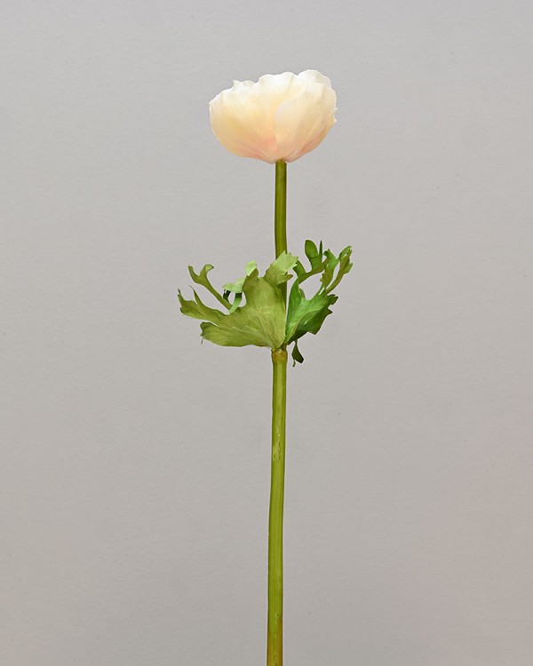 ST-WAE1-CRW-175N-222