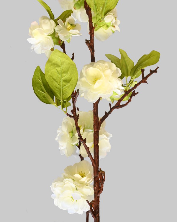 Cherry Blossom 50" White