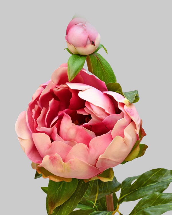 Peony with Bud 23" Fuchsia