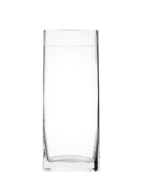 Square Clear Glass Vase 10"H (4"x4")