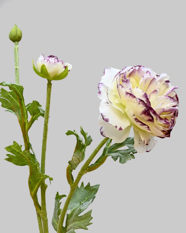 Ranunculus 18.5" White/Purple