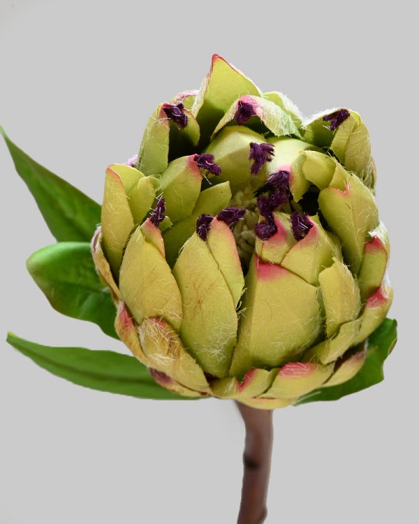 Mink Protea 29" Green