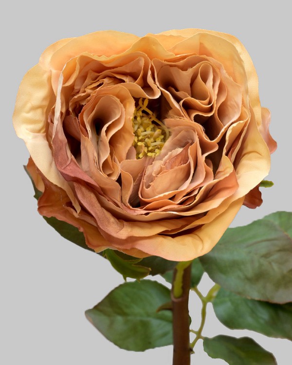 Rose Dutchess Bud 21.5" Brown Linen