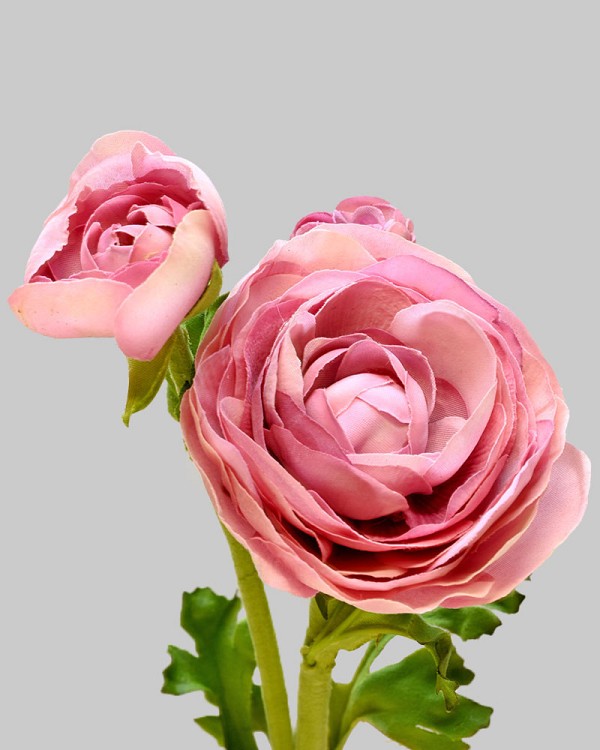 Ranunculus 22.5" Deep Lavender