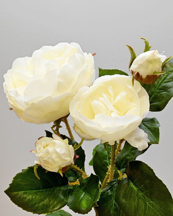 Rose Spray 24" White