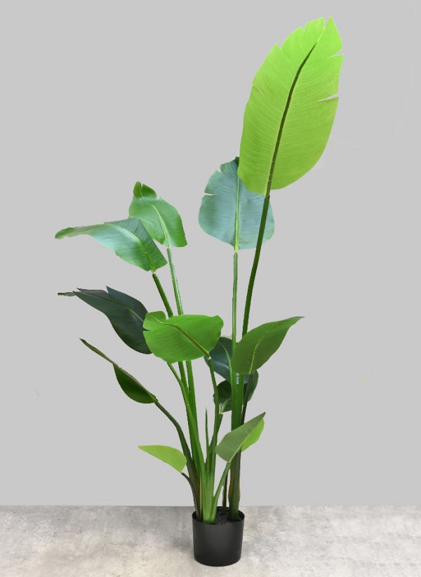 Banana Leaf Tree 48"H