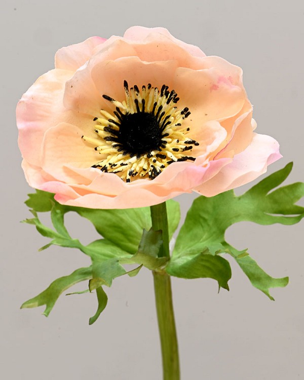 Anemone 17.5" Peach