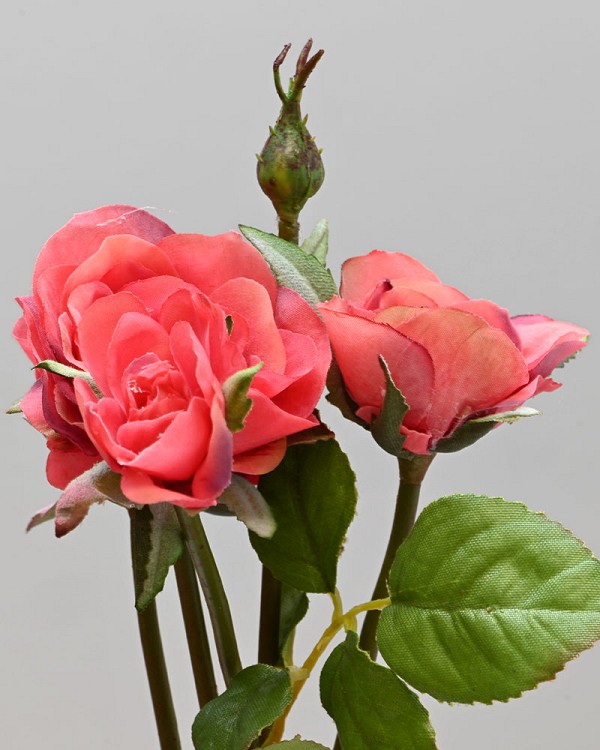 Rose Mini Multi Flower 19" Red/Pink