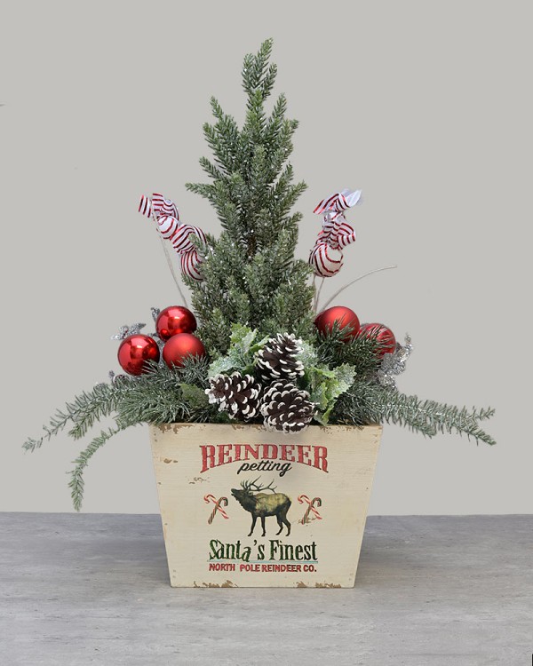 Reindeer Christmas Magic