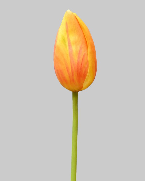 Dutch Tulip Bud 22.5" Yellow/Peach