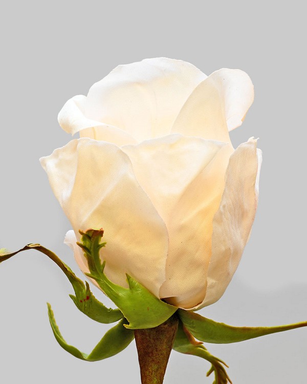 Rose Bud 20.5" White