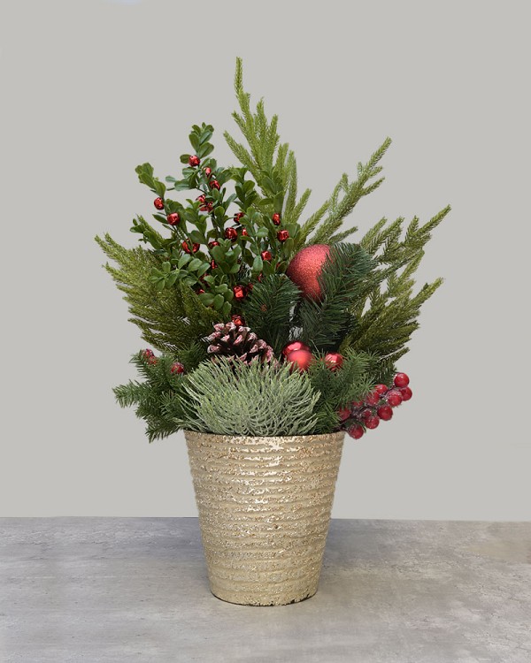 Jingle Berry Evergreen 