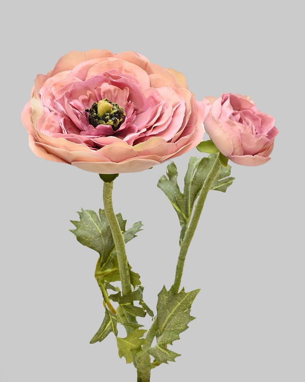 Ranunculus 19.5" Deep Lavender