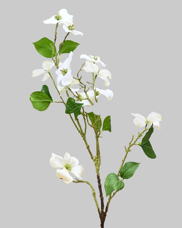 Dogwood Branch 42" White