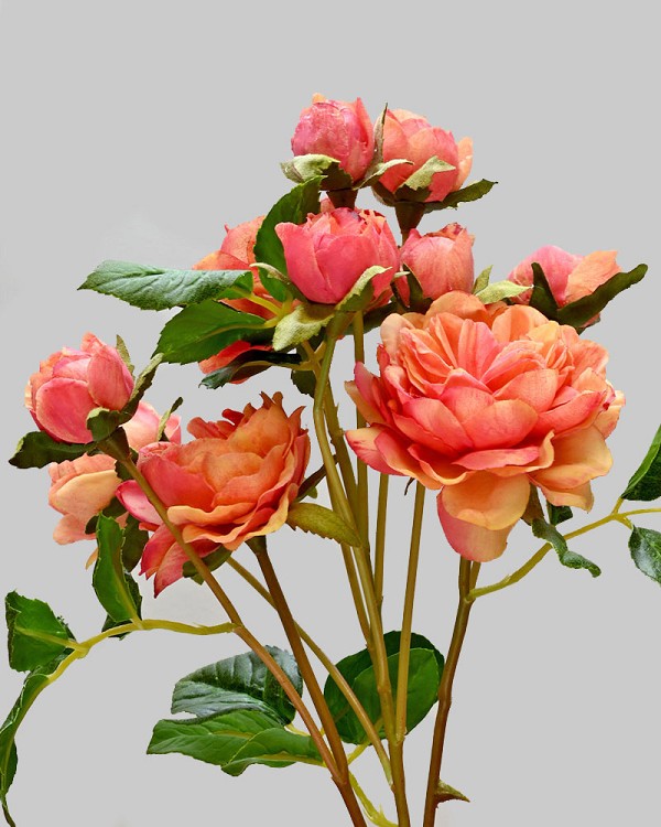 Rose English Spray 20" Peach/Red