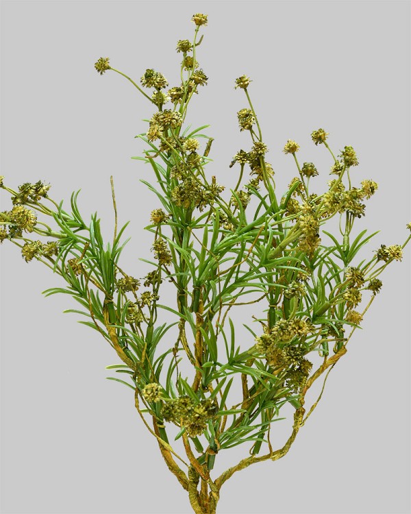 Gypsophila Spray 17" Green