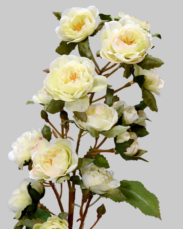 Rose Minnie 18.5" Light Green