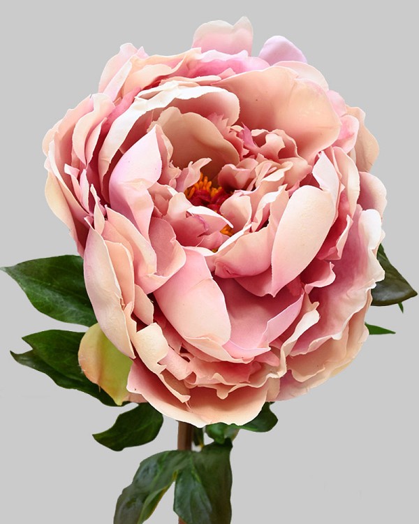 Peony 20.5" Deep Lavender