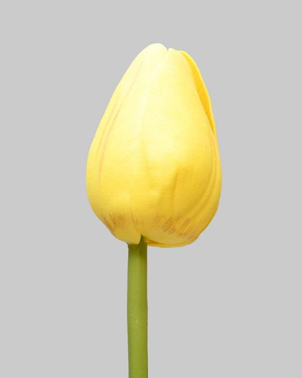 Pointed Tulip 15.5" Yellow