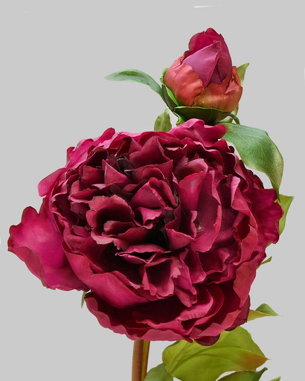 Peony Open with Bud 19.5" Red