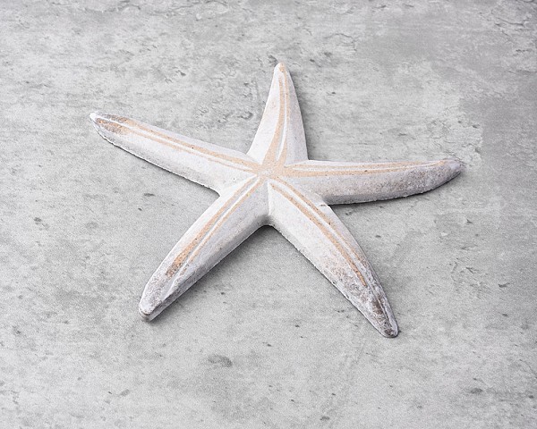 Decorative Starfish 6"L