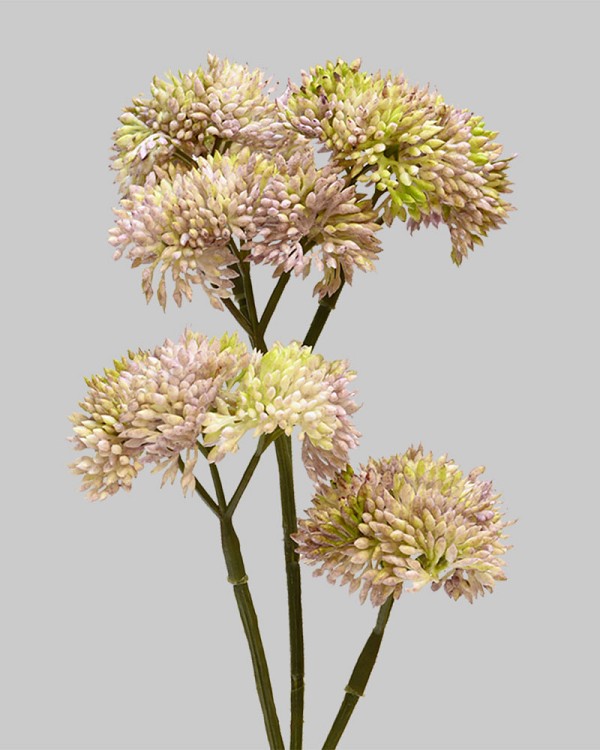 Sedum Spray 12" Purple/Green