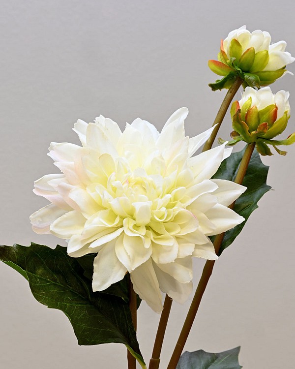 Dahlia 22.5" White