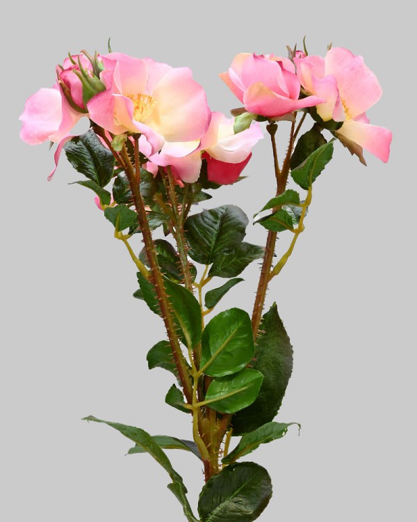 Trailing Rose Spray 23" Mauve