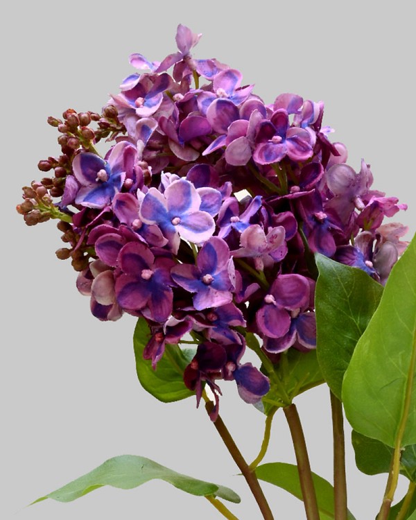 Lilac 27.5" Pink/Purple