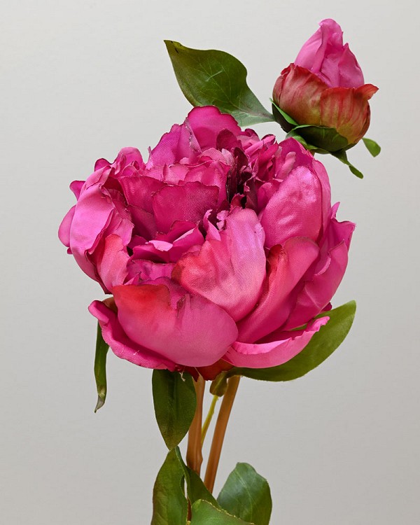 Peony Open with Bud 19.5" Dark Pink