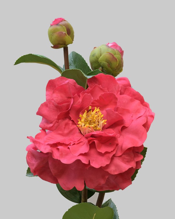 Camellia 28.5" Red