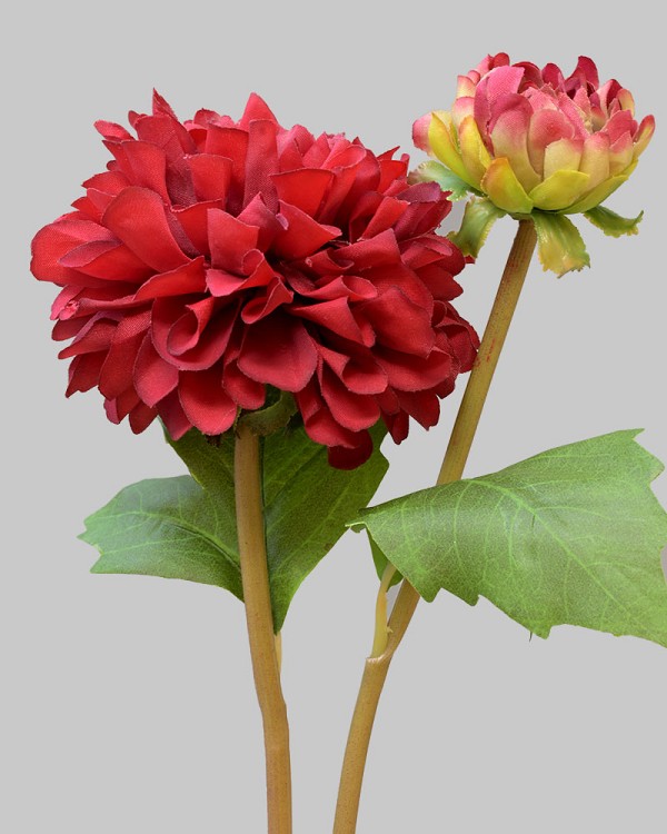 Dahlia 20" Deep Red