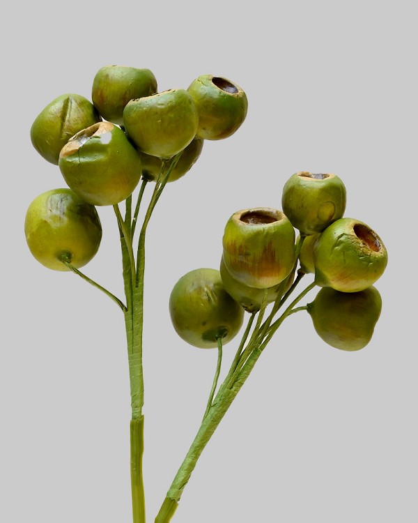 Eucalyptus Pod Spray 19" Green