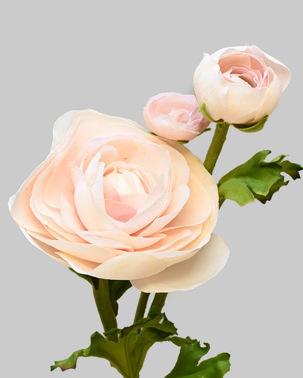 Ranunculus 22.5" Peach