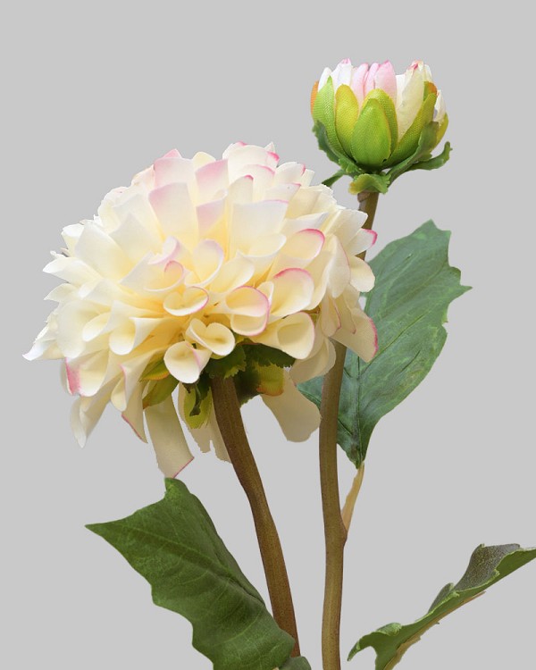 Dahlia 20" White/Pink