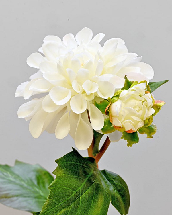 Dahlia 19.5" White