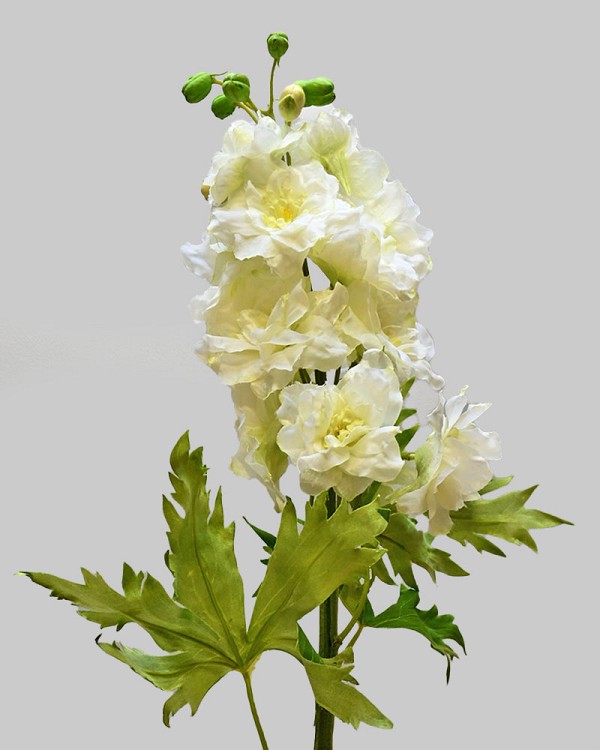 Delphinium 28" White