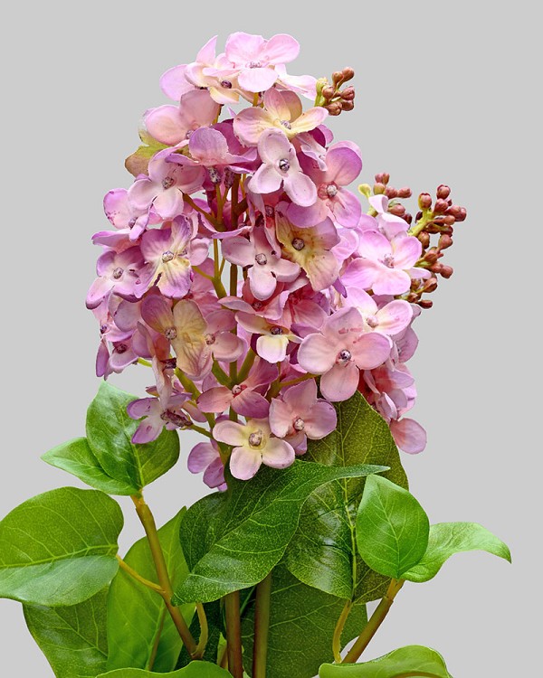 Lilac 27.5" Light Pink