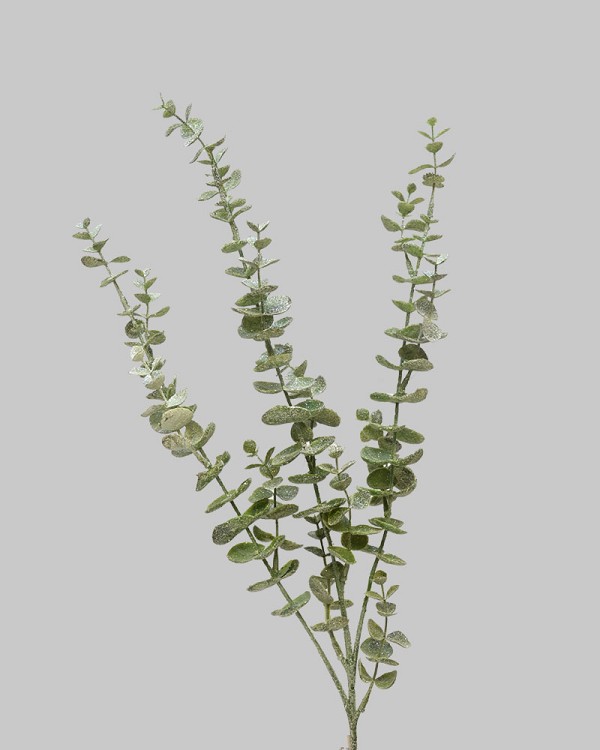 Iced Eucalyptus Green/White 31.5"