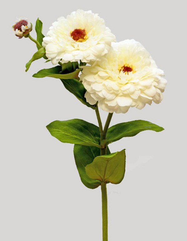 Zinnia 26" White